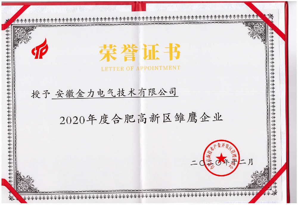 合肥高新區雛鷹企業
