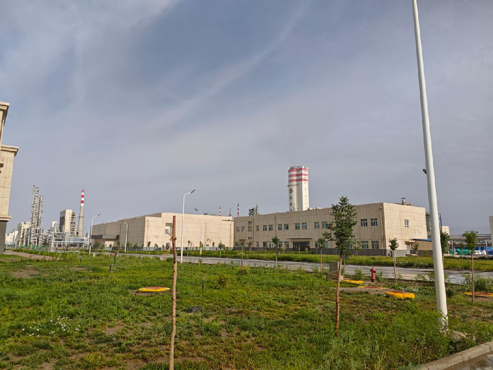 安徽金力智慧防雷系統，為新疆某化工企業110kV變電站筑牢雷電安全防線！